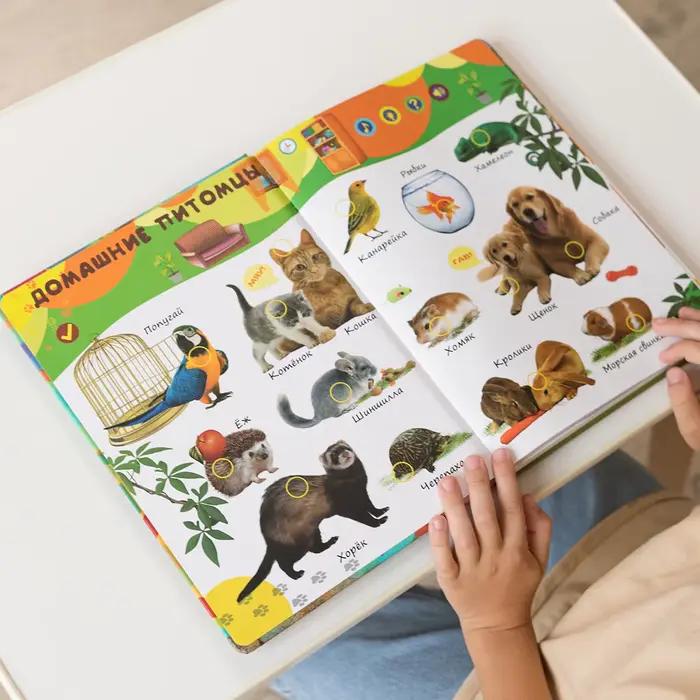 Biidi-Livre d'apprentissage Montessori pour enfants