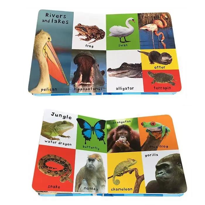 Encyclopédie cognitive pour enfants de 0 à 2 ans en anglais, pour améliorer la cognition, livres d'apprentissage précoce pour enfants, cadeaux