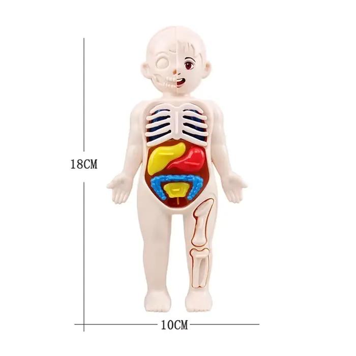 Jouets Montessori pour enfants