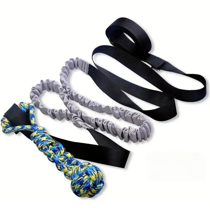 Balle à chien avec corde, balles interactives qui fuient, pour grands et petits chiens, corde à mâch