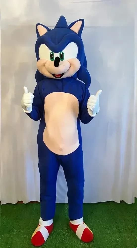 Costume de mascotte Sonics Cosplay de noël, robe fantaisie de cérémonie publicitaire, spectacles de