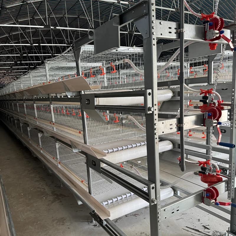 Poulailler industriel automatique économique pour poules pondeuses à usage domestique