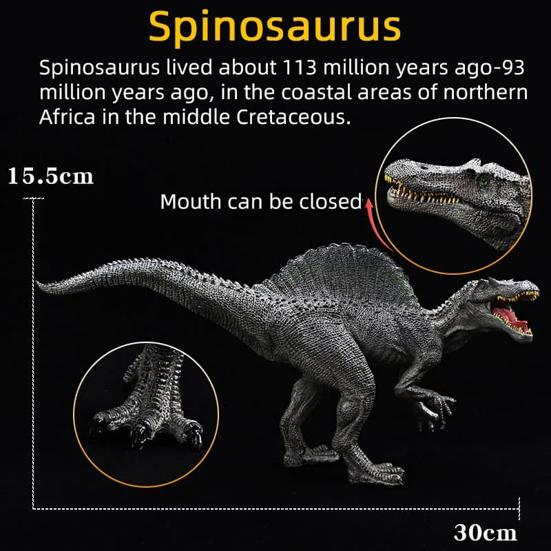 Figurine de dinosaure jurassique, Spinosaurus, modèle de tyrannosaure à bouche ouverte, Collection d