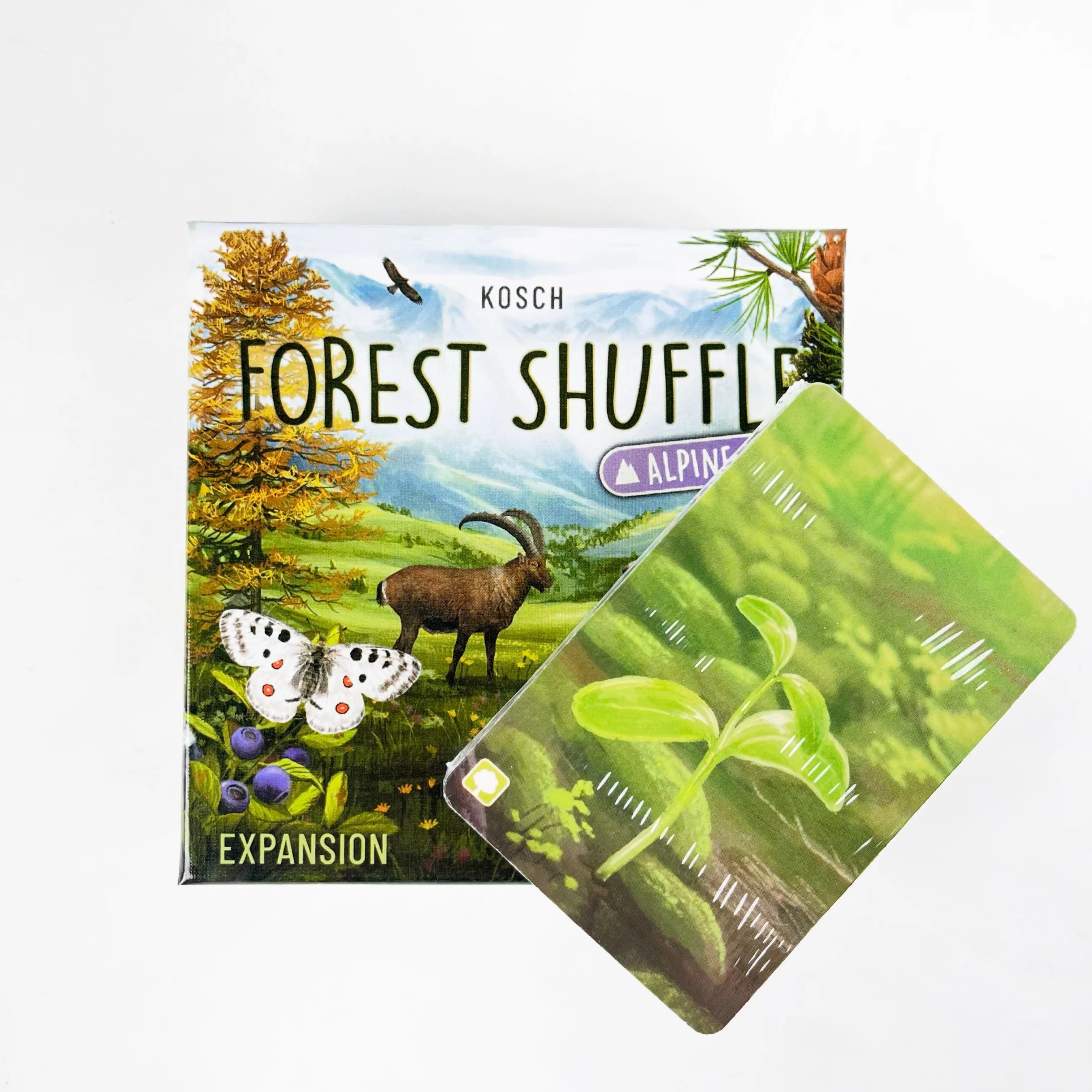 Jeu de société Forest Shuffle : Extension Alpine – Nécessite le jeu de base, jeu de cartes sur le th