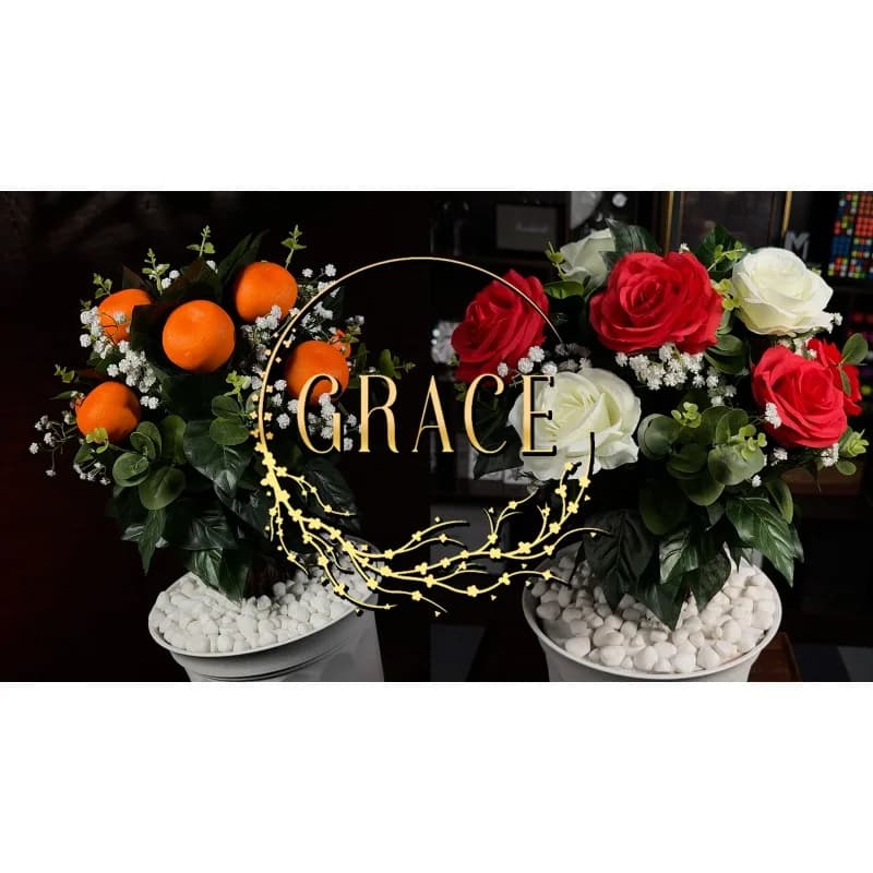 Grace The Magical Plant Magic Tree Appear Blooming Orange Tree Magic Tricks Professional Stage Illus