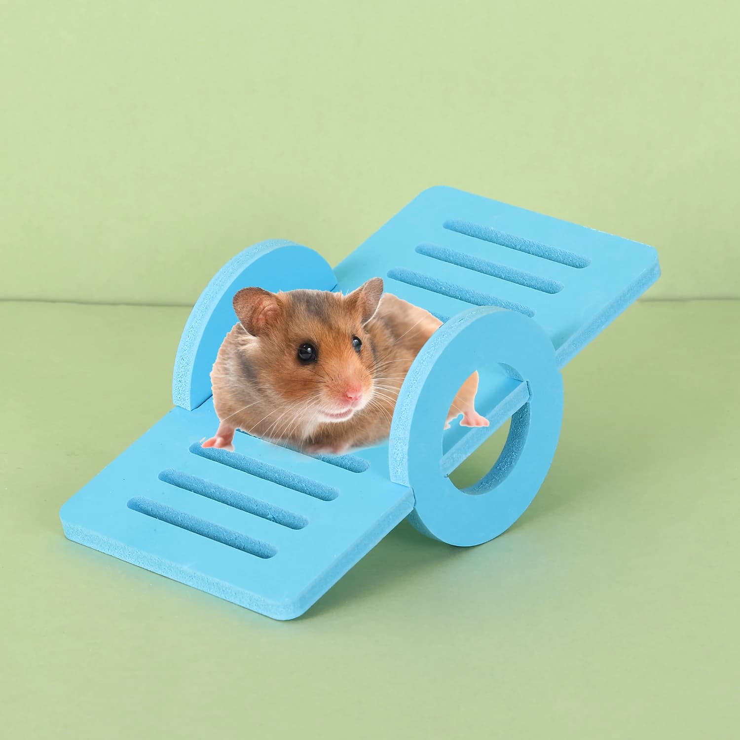 Jeu d'exercices, balançoire pour petits animaux, ensemble d'exercices de Sport pour animaux de compa
