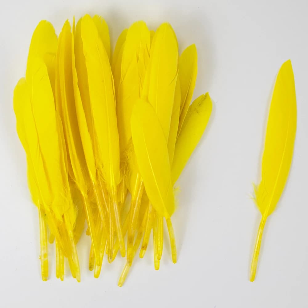 Plumes d'oie colorées 10-15cm/4-6 pouces, accessoires artisanaux, petit Plume d'oie, création de bij