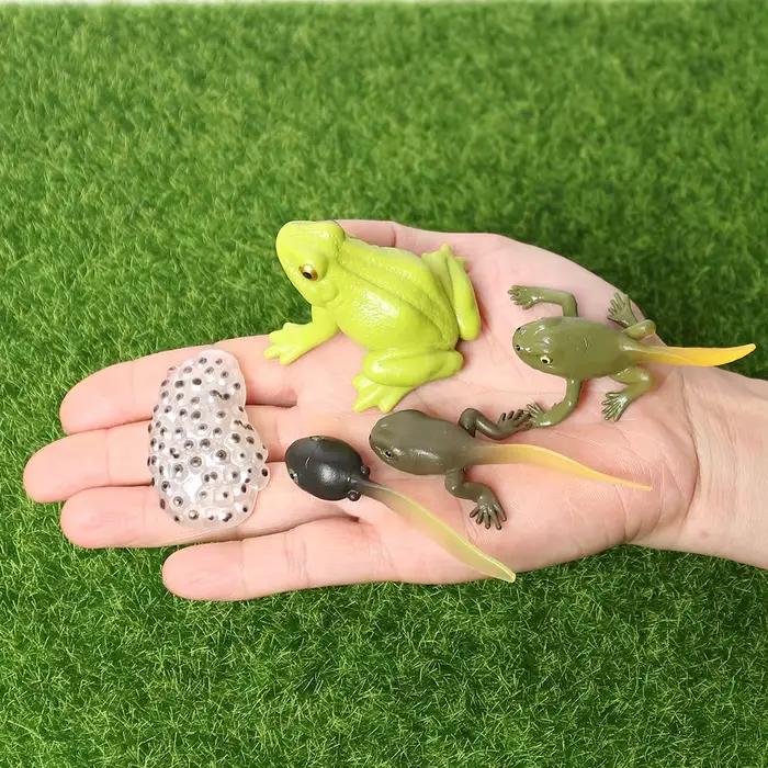 Ensemble de jeu Montessori sur le cycle de vie des animaux