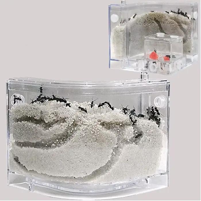 Plaque de sable fourmis ferme fourmis maison château insectes Terrarium fourmi Cage insectes boîte pépinière écologique enfant modèle éducatif jouet