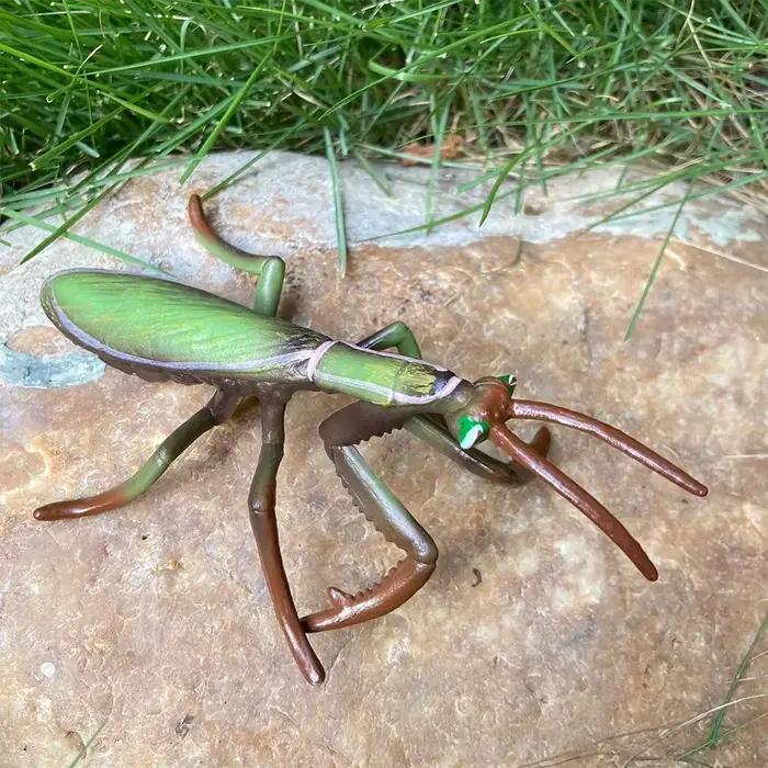 Modèle de Figurine d'insecte Réaliste Mantis Sauterelle en Plastique Polyvalent pour Enfants et Collectionneurs Occasions Spéciales
