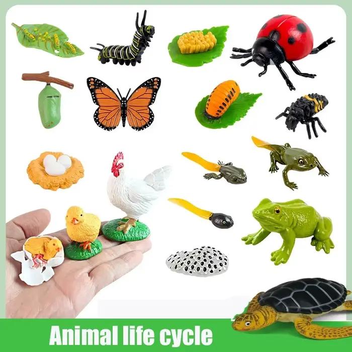 Planche de Cycle de vie des animaux
