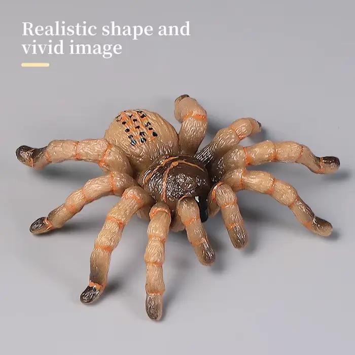 Jouets éducatifs d'araignées et d'insectes, ensemble de figurines d'action du Zoo, modèle d'apprentissage cognitif des sciences du monde animal, décor de Simulation pour enfants occasions spéciales