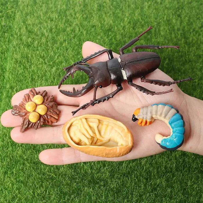 Ensemble de jeu Montessori sur le cycle de vie des animaux