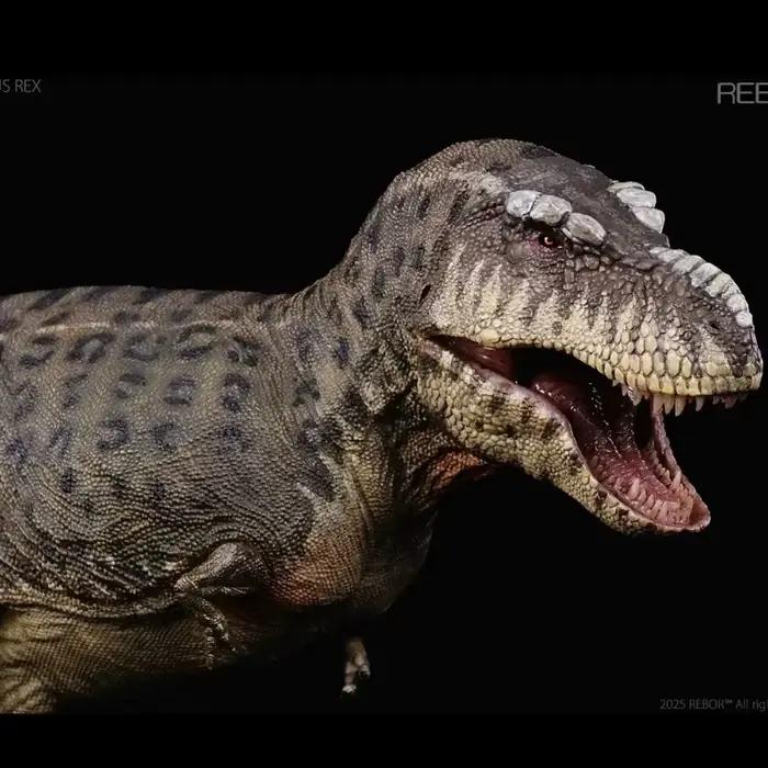 Rebor 1/35 Tyrannosaure Rex « KISS » Île Ver. Figurines de dinosaures t-rex, modèle Animal, déco de