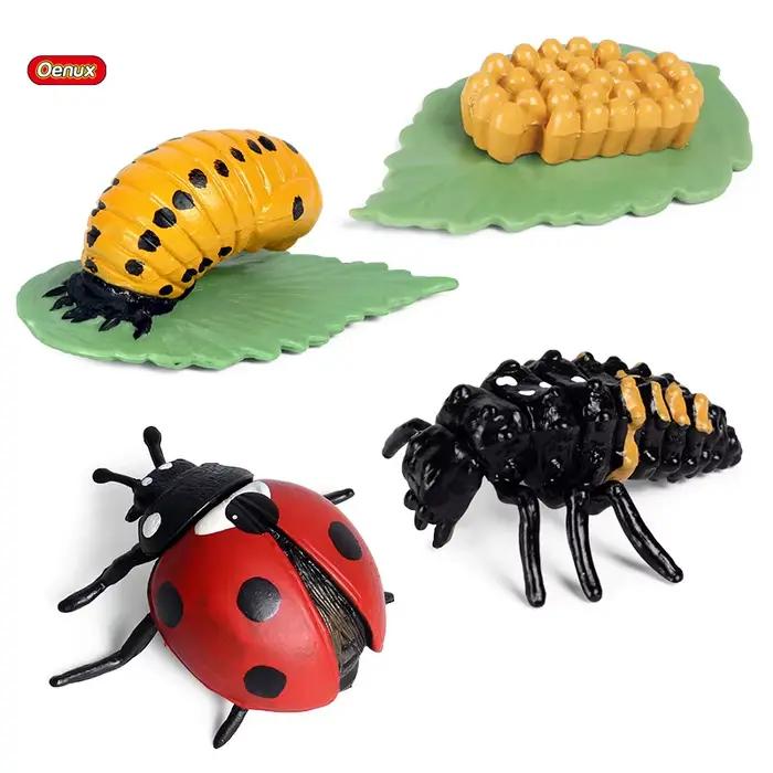 Oenux Simulation Luna papillon saumon fourmis Cycle de croissance de la vie animaux modèle figurines