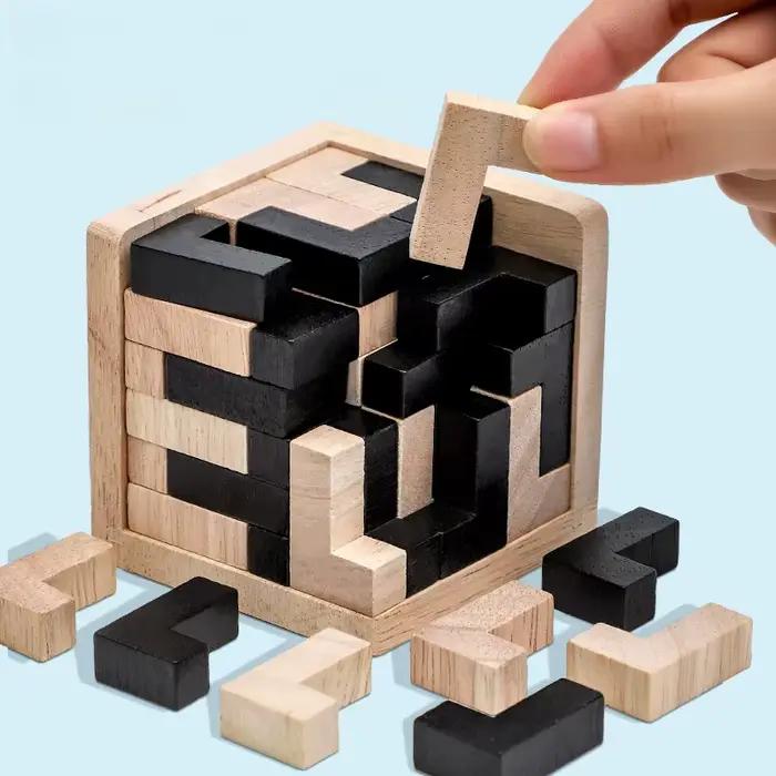 Puzzle Impossible en bois IQ pour adultes, casse-tête Impossible, casse-tête, dix niveaux de difficu