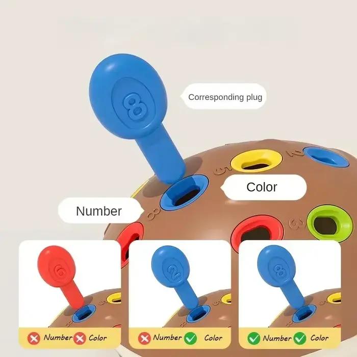 Heddgehog insérer jouet éducatif Montessori jouets formation focalisée sur la motricité Fine des enfants Coordination œil-main combat inséré