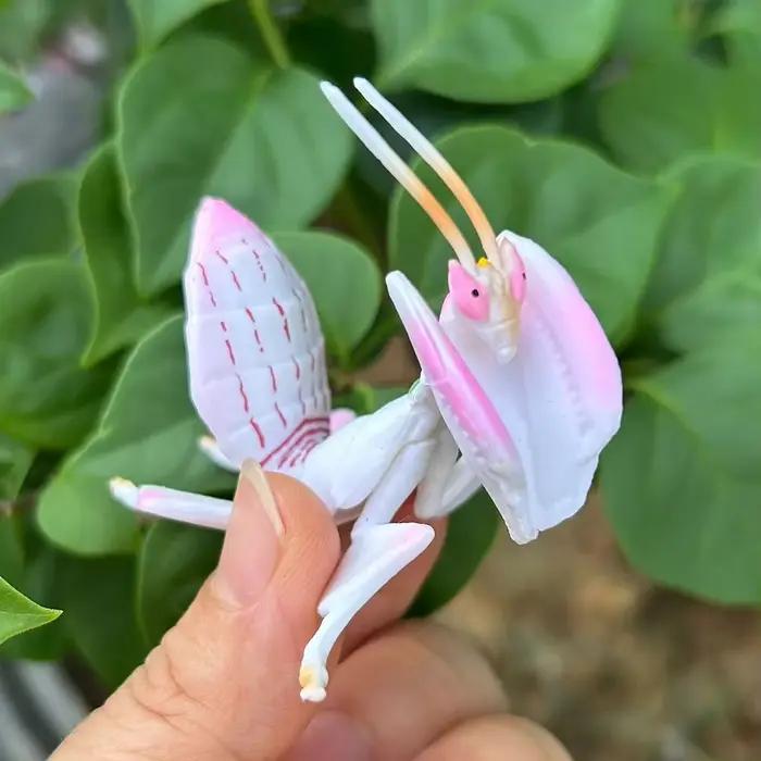 Modèle de Figurine d'insecte Réaliste Mantis Sauterelle en Plastique Polyvalent pour Enfants et Collectionneurs Occasions Spéciales