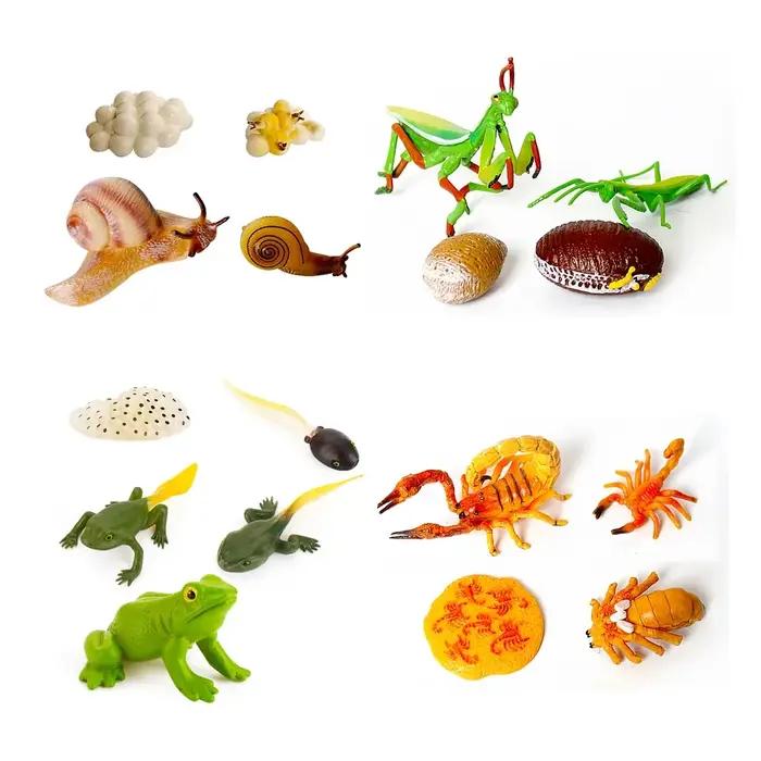 Ensemble de jeu Montessori sur le cycle de vie des animaux