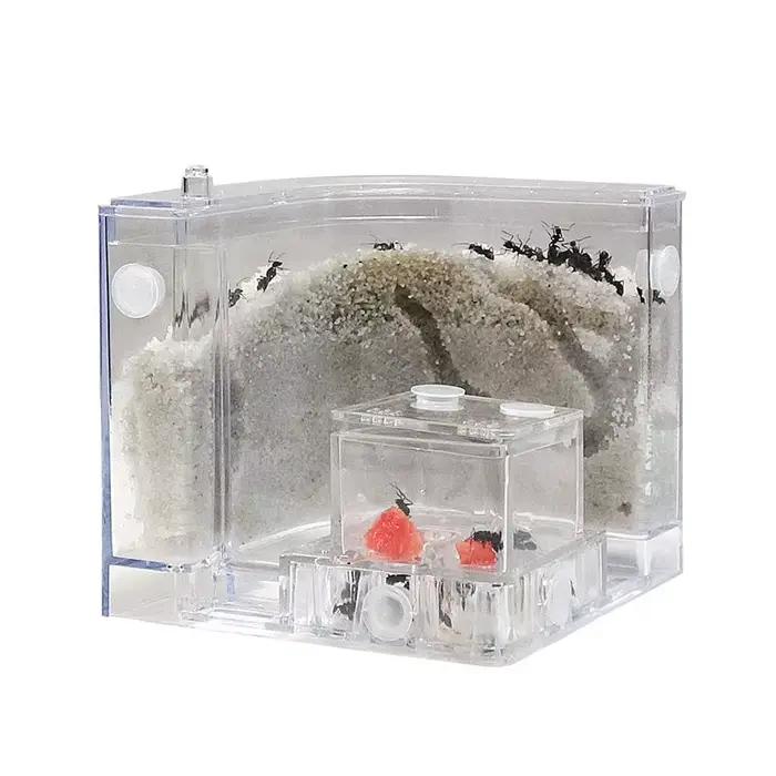 Plaque de sable fourmis ferme fourmis maison château insectes Terrarium fourmi Cage insectes boîte pépinière écologique enfant modèle éducatif jouet