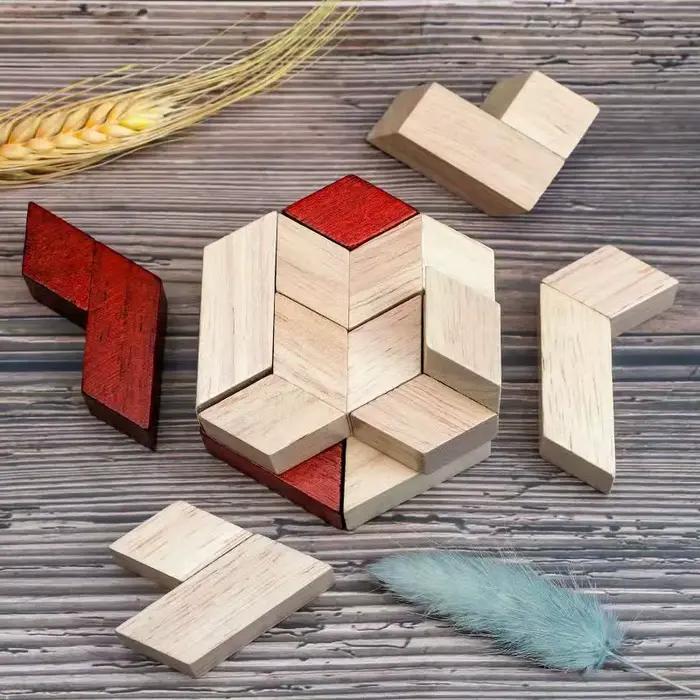 Puzzle 3D en bois Hexagonal IQ logique formation casse-tête défi mental Montessori cadeaux éducatifs pour enfants garçons filles