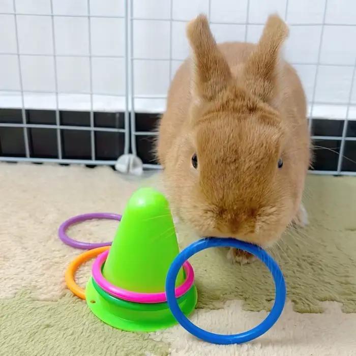 Jouet éducatif en forme de cône pour lapins et petits animaux, jouet à mâcher interactif DKSTINYE pour entraîner et distraire les lapins, occasions spéciales et quotidienne