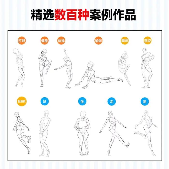Jeu Anime Structure du corps humain et examen dynamique Manuel de formation Livre de synthèse dynamique