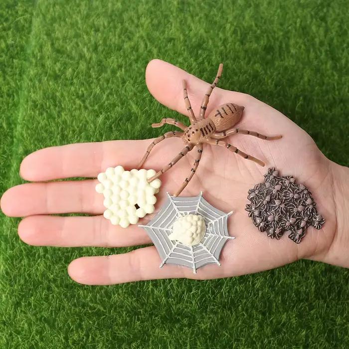 Ensemble de jeu Montessori sur le cycle de vie des animaux, modèle d'insectes, Mantis, escargots, gr