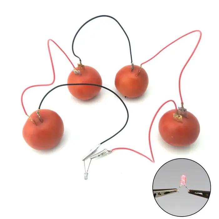 Kit d'expérimentation scientifique à batterie de fruits avec horloge électronique et LED RVB pour jouet d'enseignement